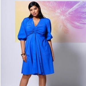 NWT Eloquii Cinched Front Fit & Flare Dress